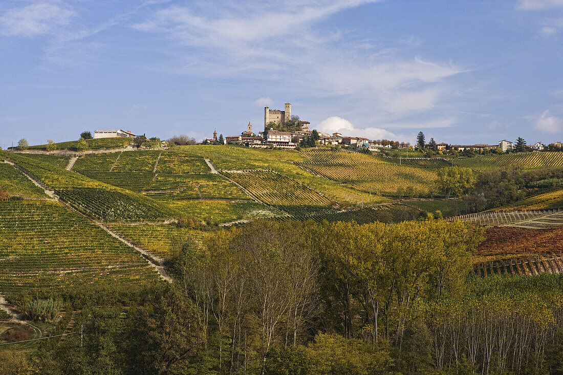 Serralunga d'Alba, Langhe, Piedmont, Italy