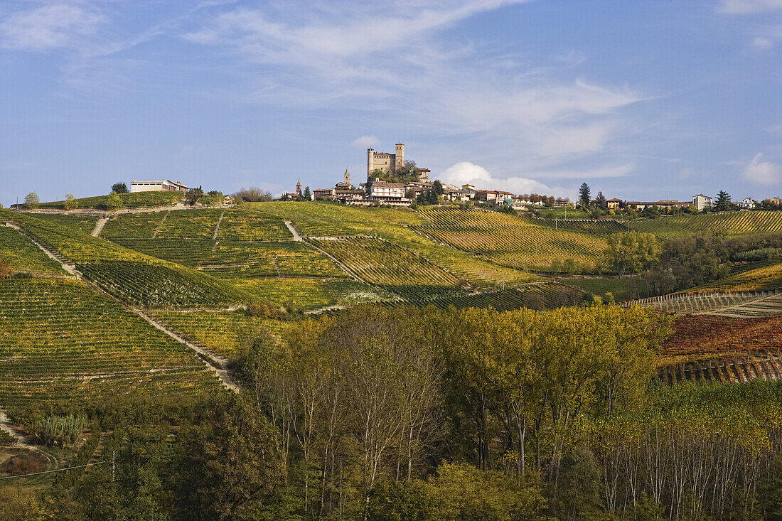 Serralunga d'Alba, Langhe, Piemont, Italien