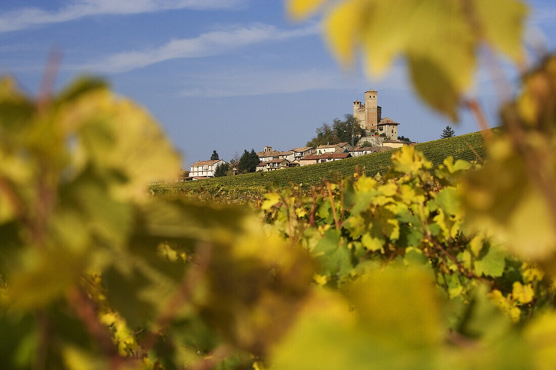 Serralunga d'Alba, Langhe, Piemont, Italien