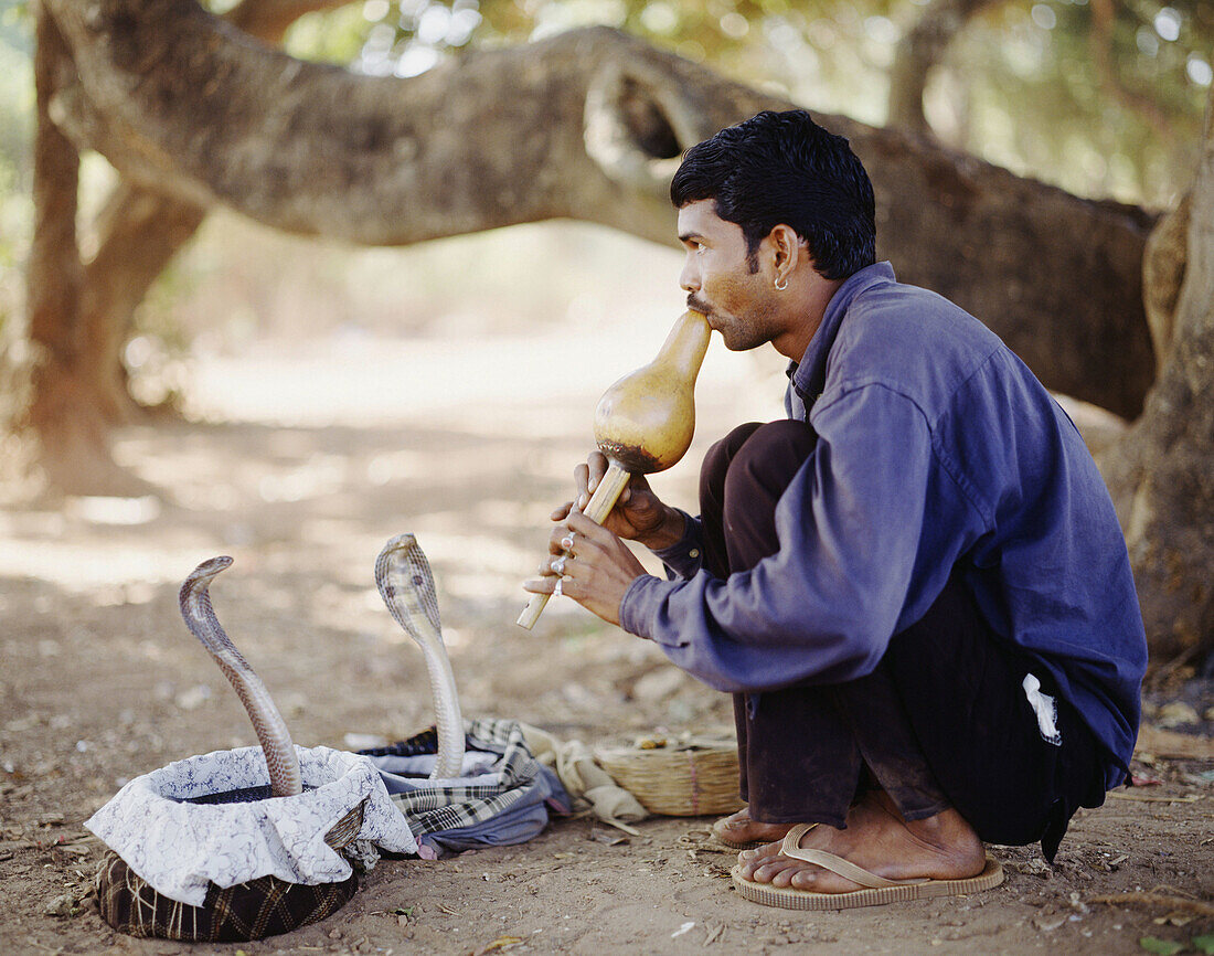 Schlangenbeschwörer, Goa, Indien