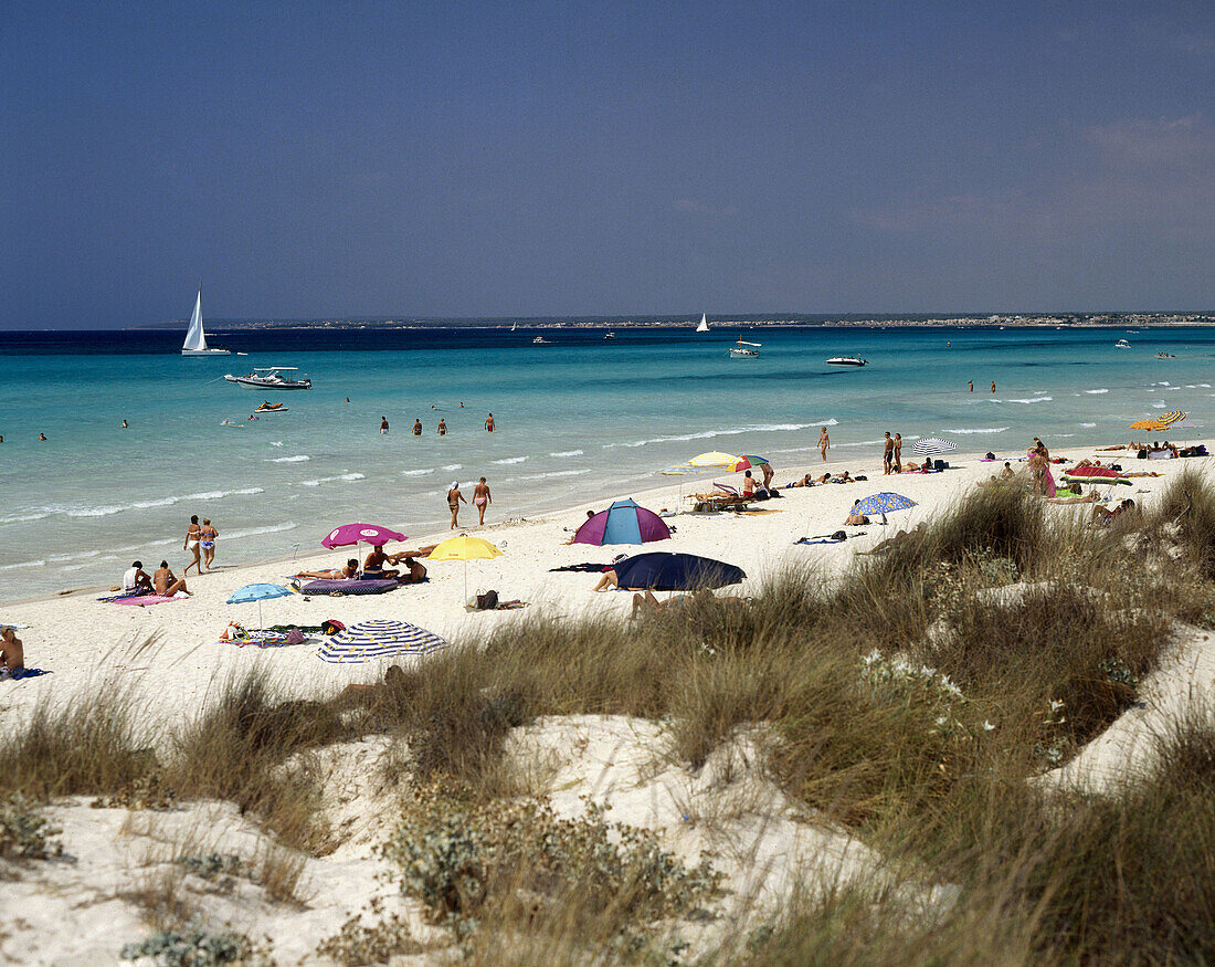 Es Trenc, Mallorca, Balearic Islands, Spain