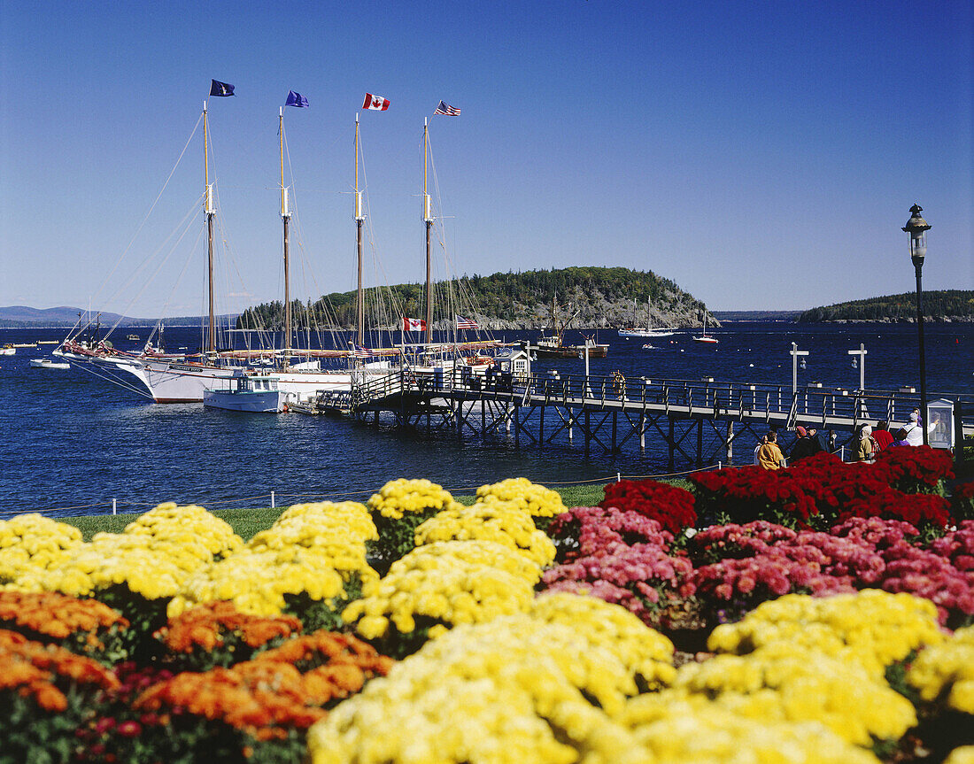 Bar Harbor, Maine, USA