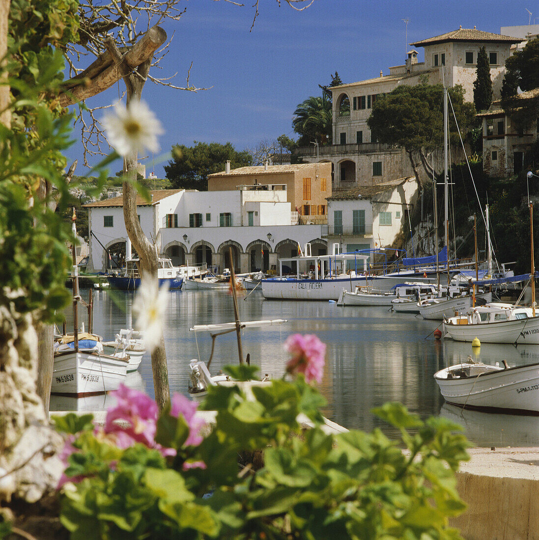 Cala Figuera, Mallorca, Balearic Islands, Spain