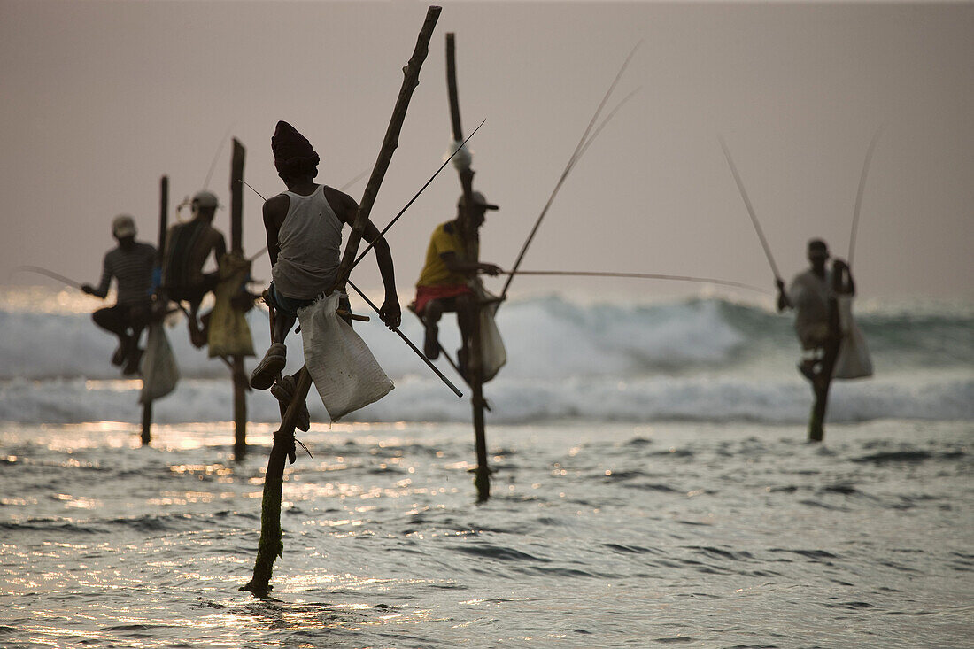 Stelzenfischer, Koggala, Sri Lanka