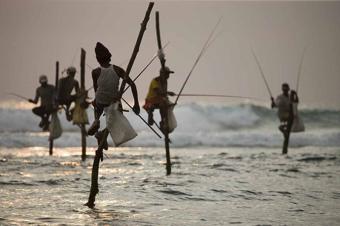 Stilt fishermen, Koggala, Sri Lanka