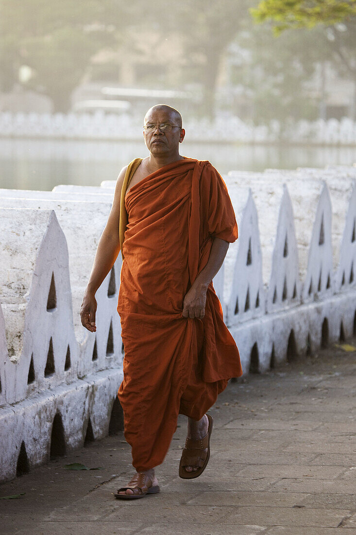 Monk walking on the banks of Kandy Lake, Kandy, Sri Lanka
