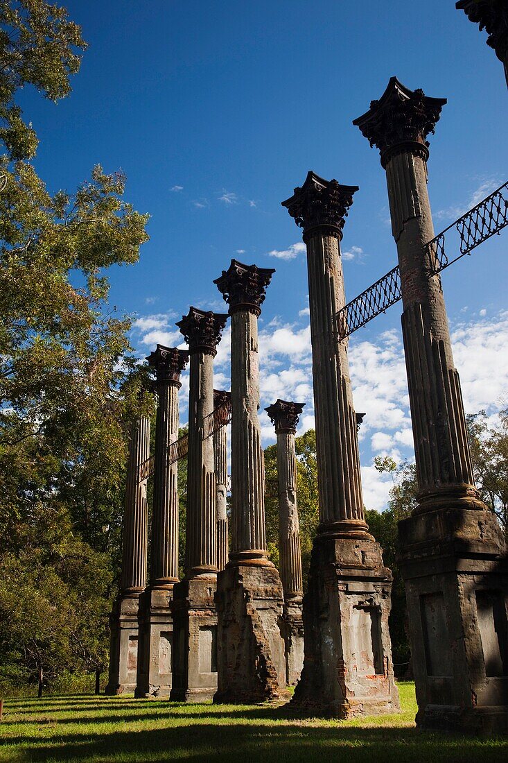 USA, Mississippi, Port Gibson-area, Windsor Ruins, standing columns from former plantation house