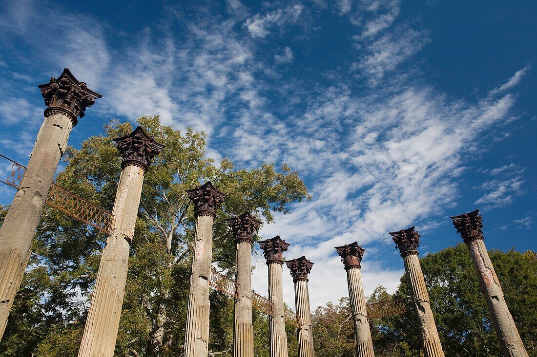 USA, Mississippi, Port Gibson-area, Windsor Ruins, standing columns from former plantation house