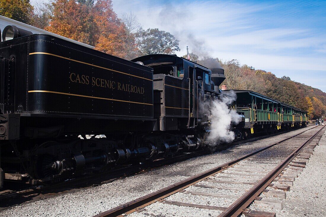 USA, West Virginia, Cass, Cass Scenic Railroad State Park, steam train