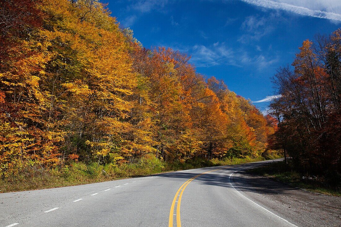 USA, West Virginia, Cheat Bridge, Monongahela National Forest, fall foliage, Rt 250