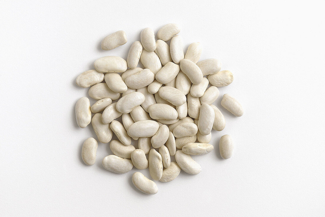 legume type  on white background