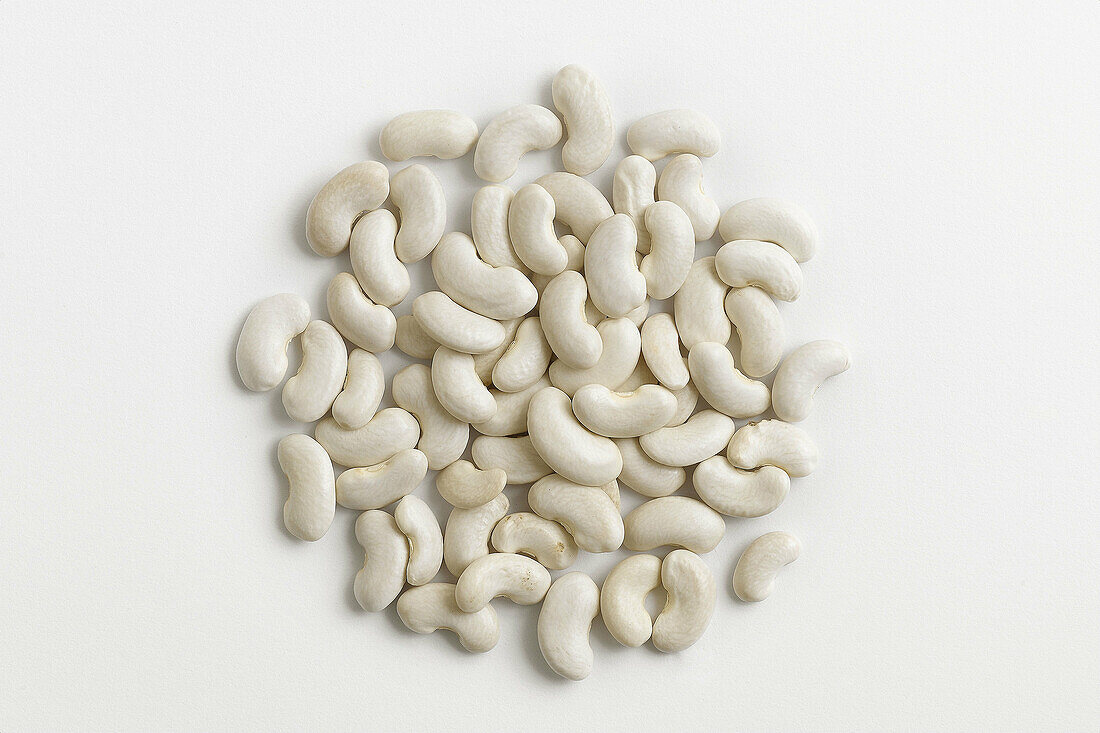 legume type  on white background