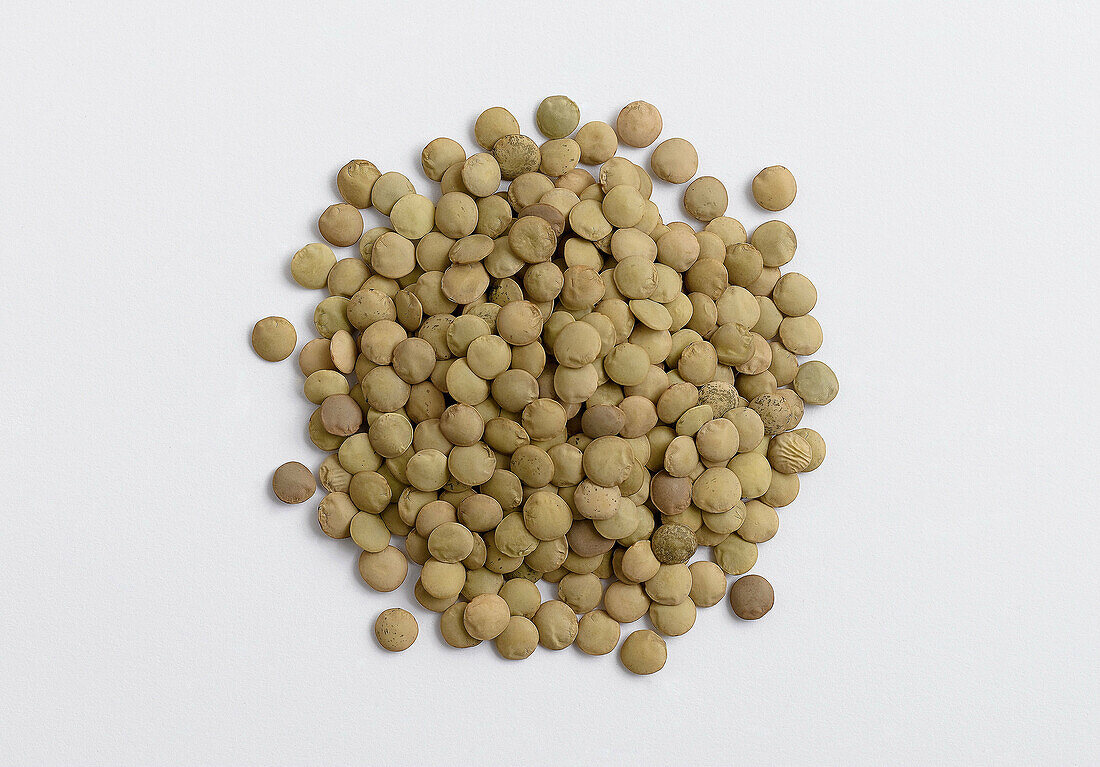 legume type on white background