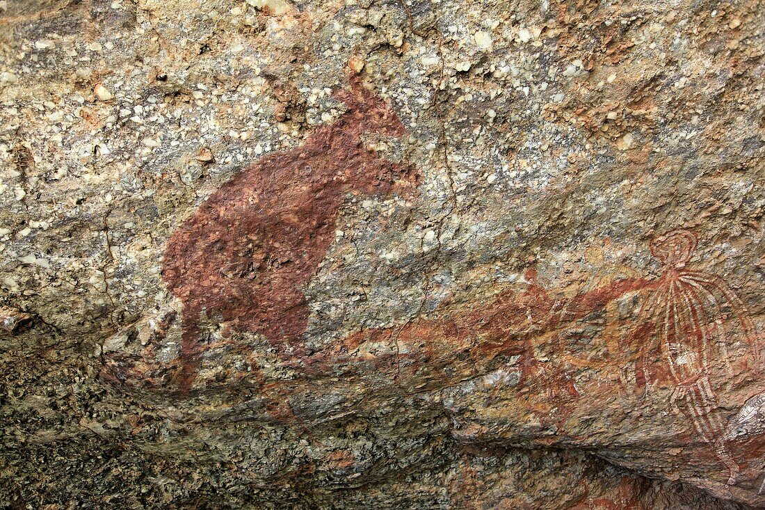 chasseur et kangourou peinture aborigene Nourlangie rock  peinture rupestre Aboriginal Rock Art  Nourlangie  Kakadu Territoire du nord  Australie