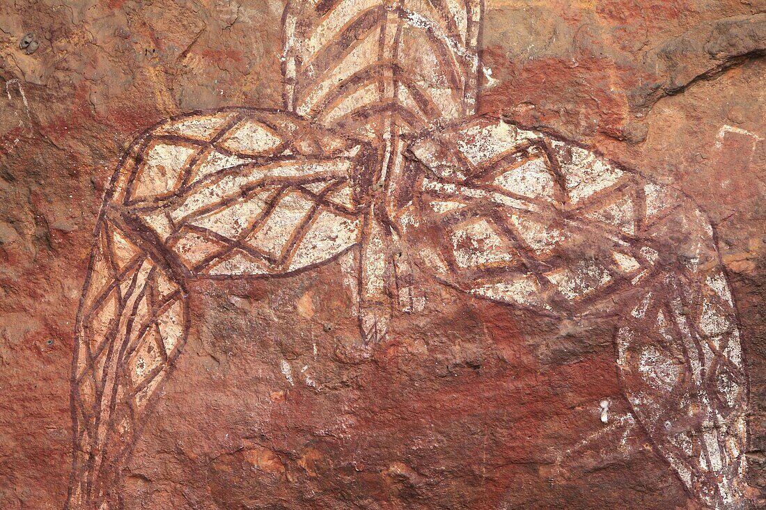 peinture aborigene Nourlangie rock  peinture rupestre Aboriginal Rock Art  Nourlangie  Kakadu Territoire du nord  Australie Nabulwinjbulwinj  Dangerous spirit peinture aborigene