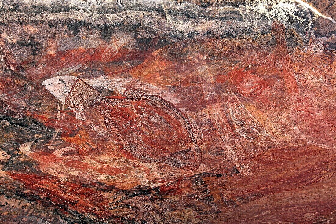 peinture aborigene poissons Ubirr peinture rupestre Aboriginal Rock Art  Ubirr  Kakadu Territoire du nord  Australie