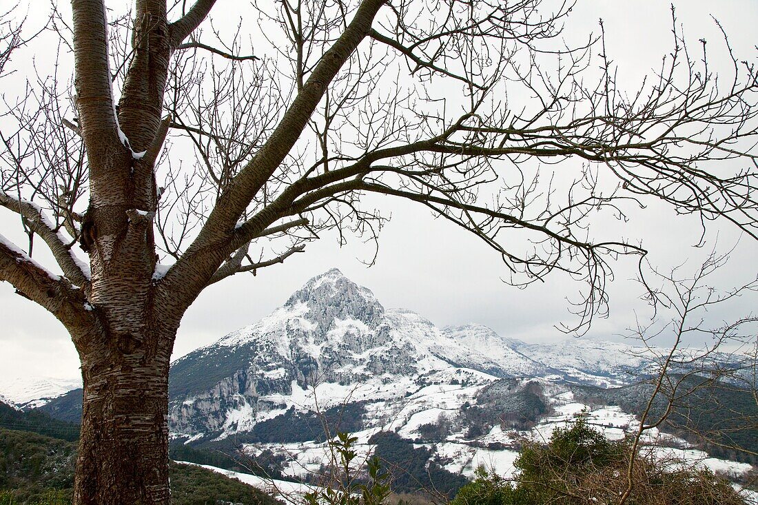 Monte San Vicente desde la cueva de Covalanas, Valle del Asón, Cantabria