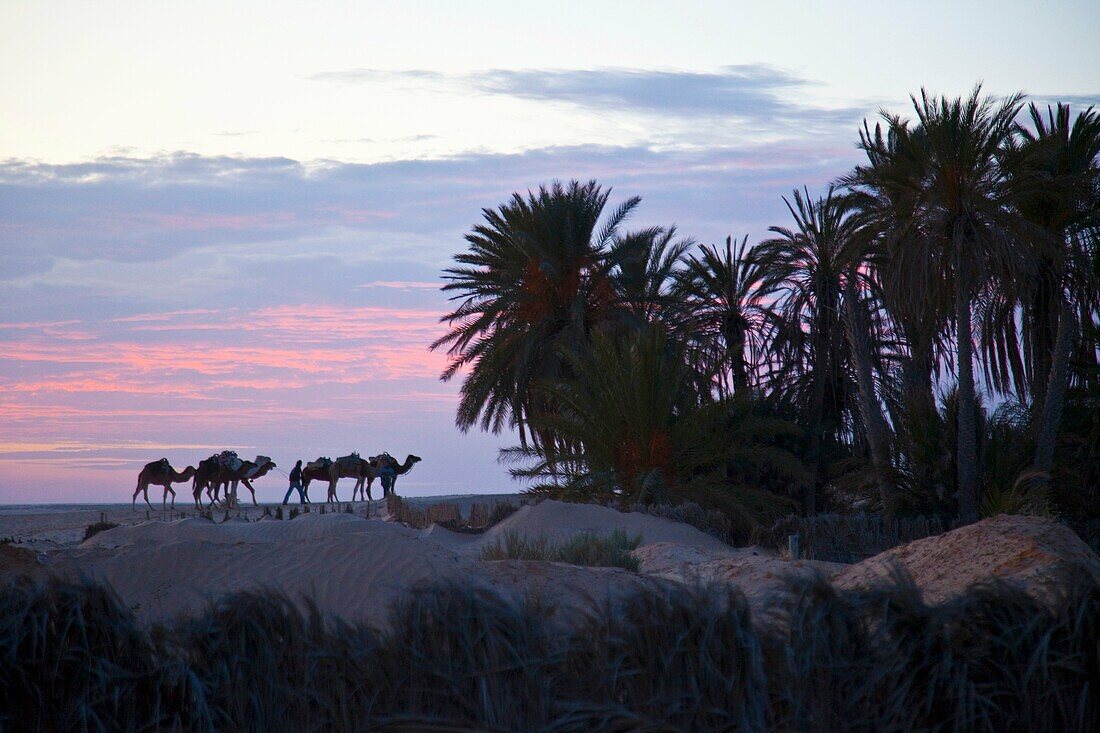 Paisaje de desierto en Douz, Desierto del sur de Tunez, Africa