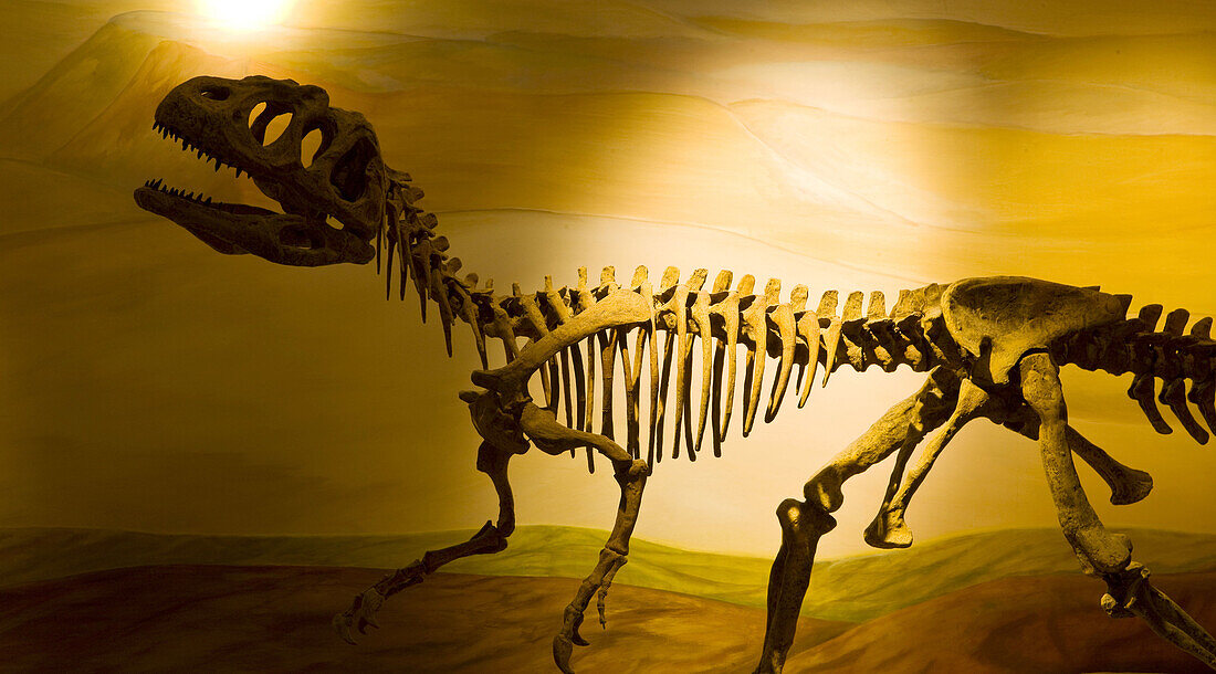 Egidio Feruglio Museum of Paleontology, Trelew, Patagonia, Argentina