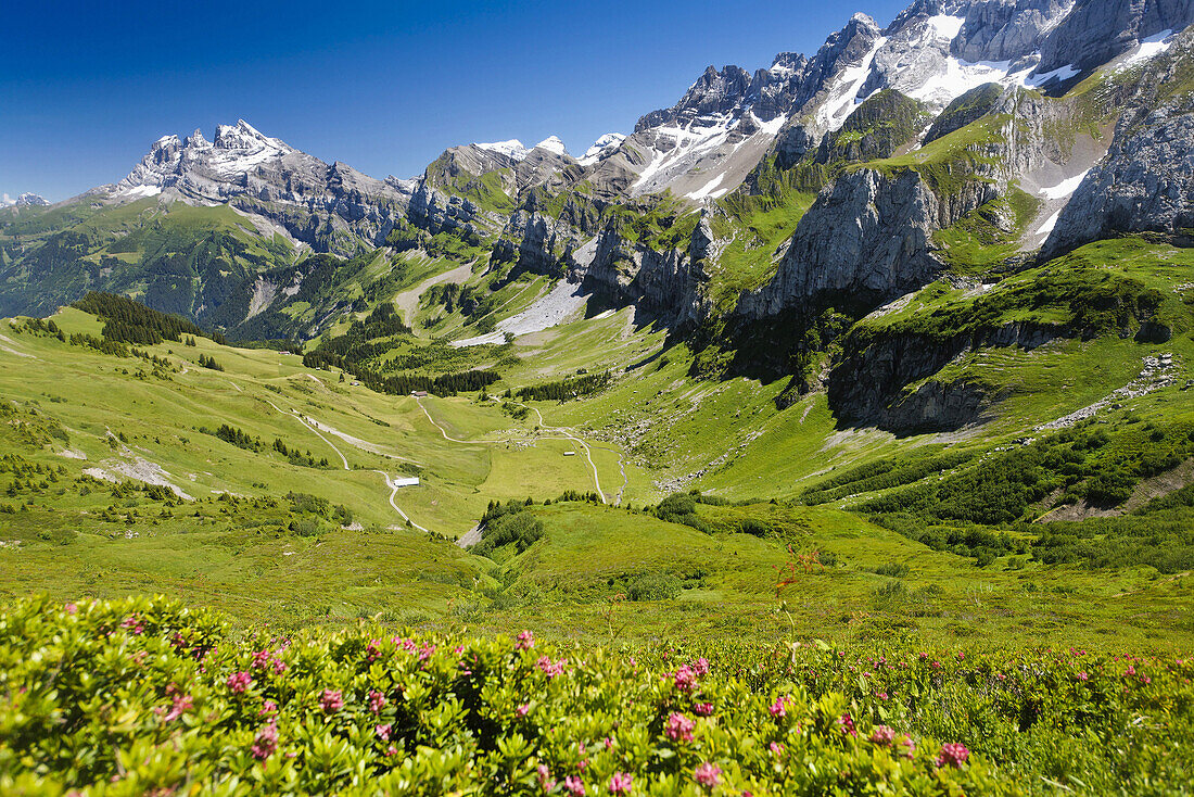 Landschaft am Col de la Golèse, Dents Blanches und Dents du Midi im Hintergrund, Wallis, Schweiz