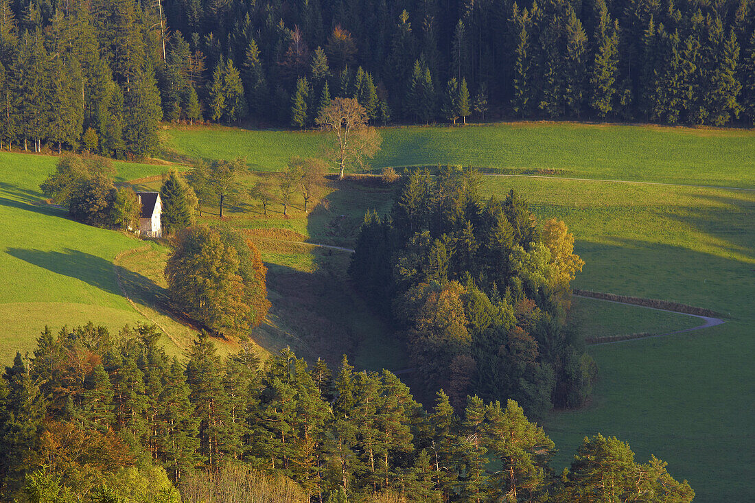 Fields and pastures near the village of St. Peter, Autumn, Southern Part of Black Forest, Black Forest, Baden-Württemberg, Germany, Europe