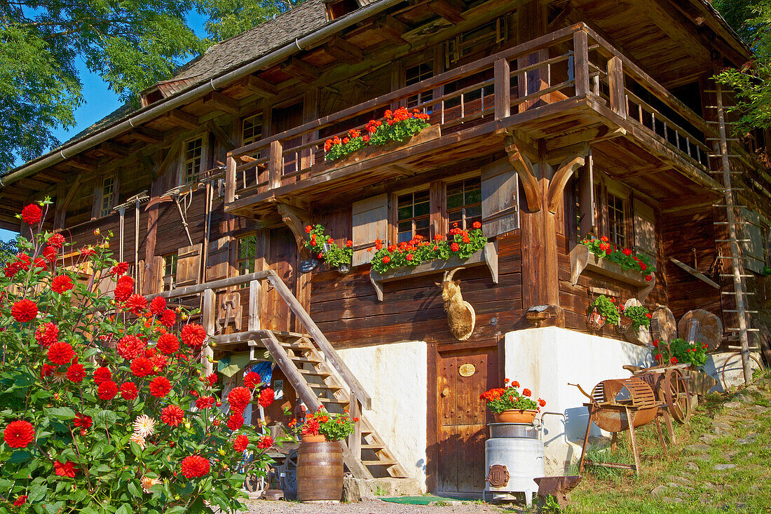 Öhlermühle, Schildwende, Titisee-Neustadt, Jostal, Schwarzwald, Baden-Württemberg, Deutschland