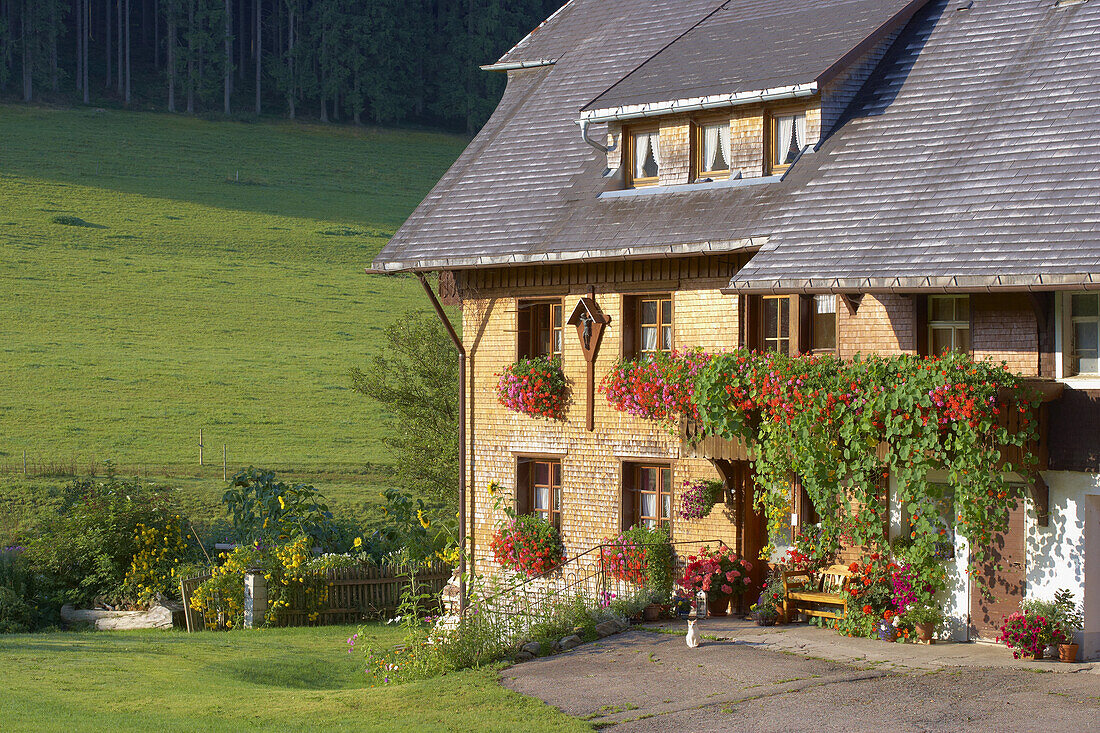 Farmhouse Griesbachhof in Jostal near the town of Titisee-Neustadt, Jostal, Southern part of the Black Forest, Baden-Württemberg, Germany, Europe