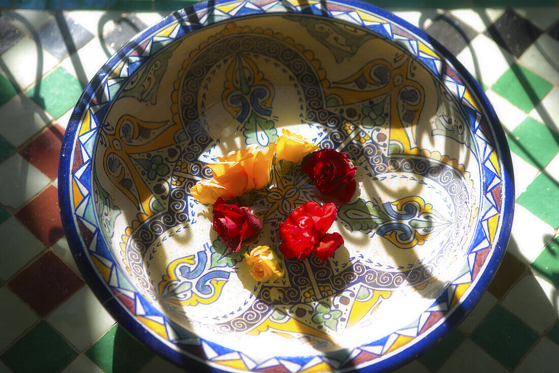 Roses in a porcelain bowl in the sunlight, Riad Kaiss, Marrakech, Morocco, Africa