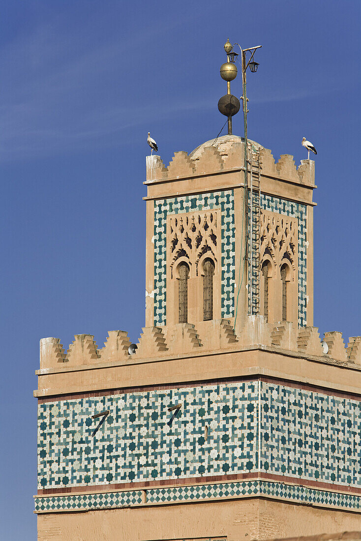 Storks on the top of the Kasbah Mosque, Marrakech, Morocco, Africa