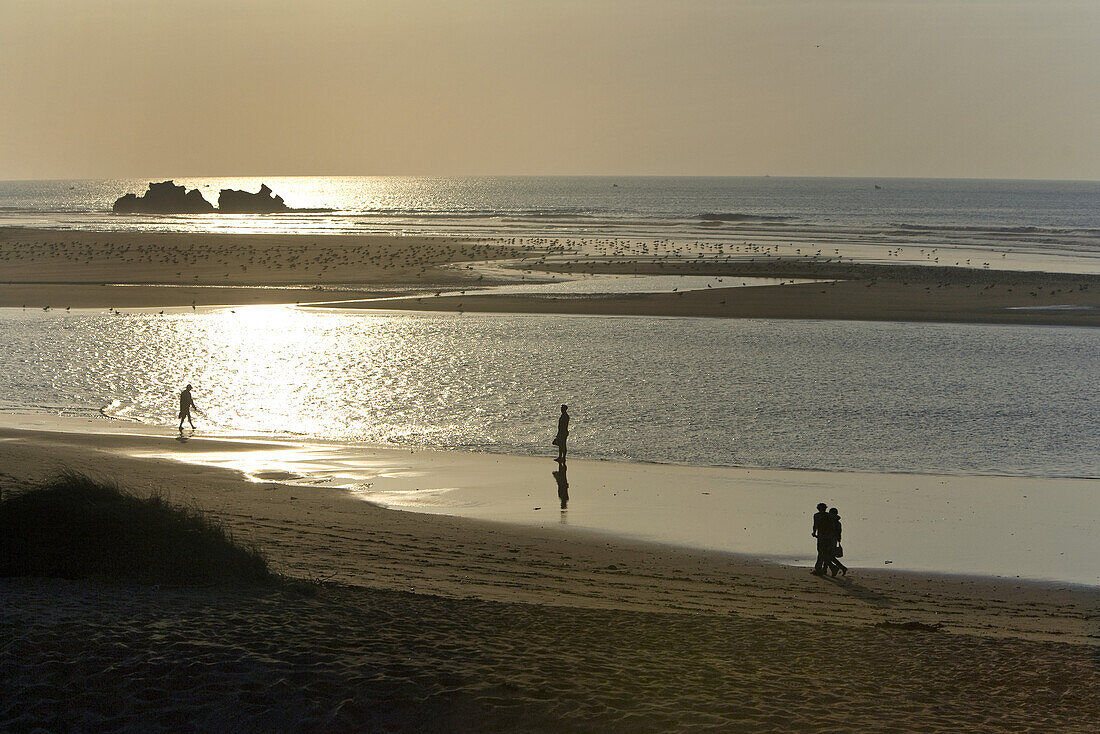 People walking along the beach at sunset, Atlantic Ocean, Essouira, Morocco, Africa
