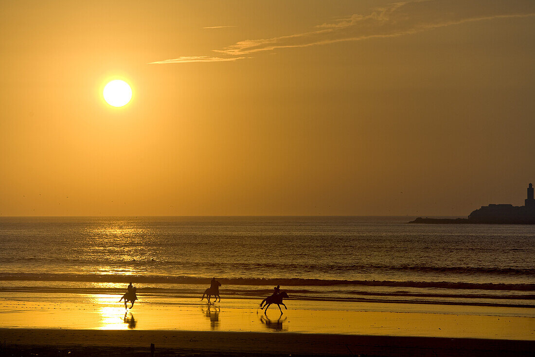 Three horse riders riding along the shore at sunset, Essouira, Morocco, Africa
