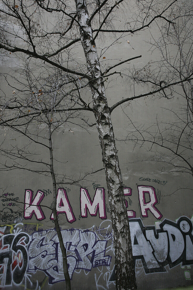 Backyard with graffiti in Friedrichshain, Berlin, Germany