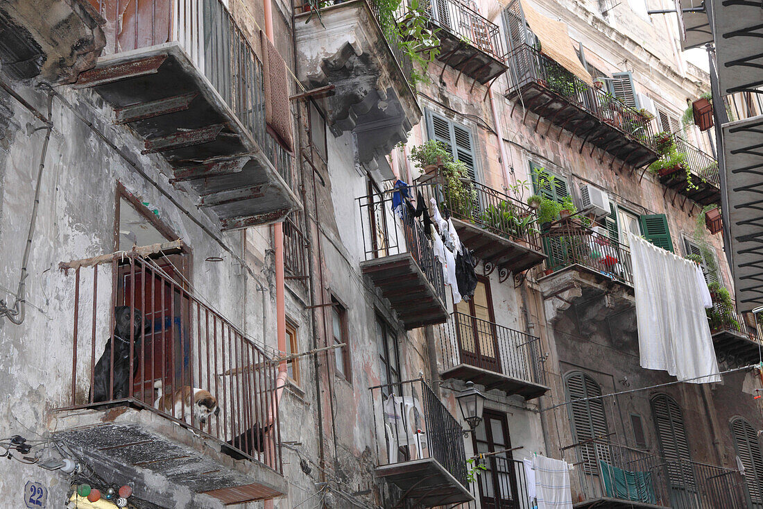 Houses at the old town of Palermo, Province Palermo, Sizily, Italy, Europe