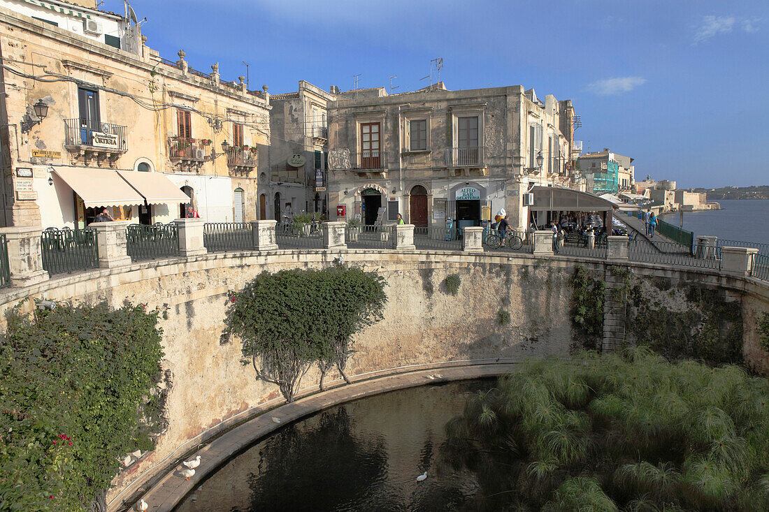 Süßwasserquelle Fonte Aretusa in der Stadt Syrakus auf der Insel Ortygia, Unesco Weltkulturerbe, Provinz Syrakus, Sizilien, Italien, Europa