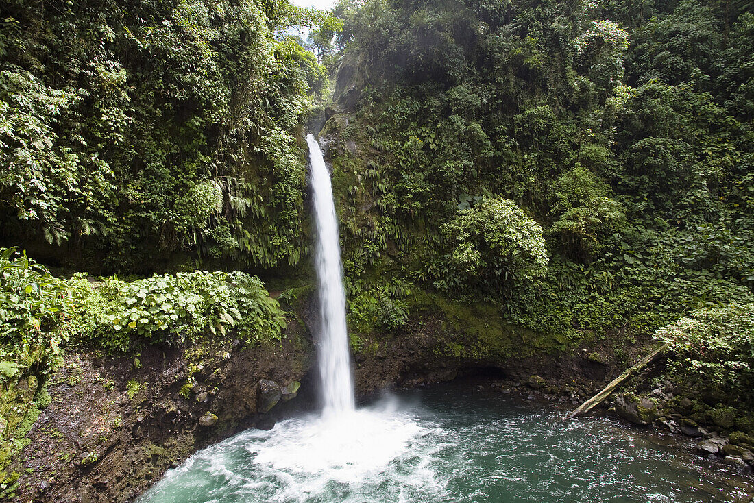 La Paz waterfalls, rainforest, Costa Rica