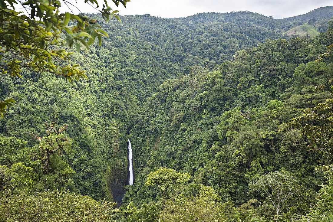 La Paz waterfalls, rainforest, Costa Rica