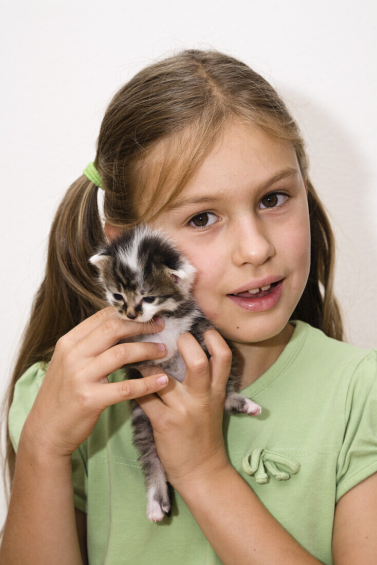 Girl holding a young domestic cat, Bavaria, Germany
