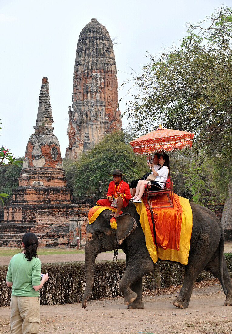 Elefant mit Touristen am Wat Phra Ram in der alten Königsstadt Ayutthaya, Thailand, Asien