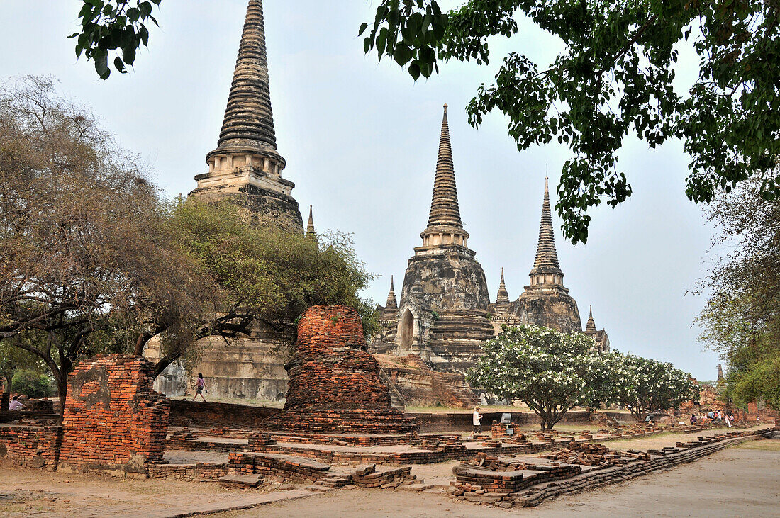 The ruins of Wat Phra Sri Sanphet temple, old kingdomtown Ayutthaya, Thailand, Asia