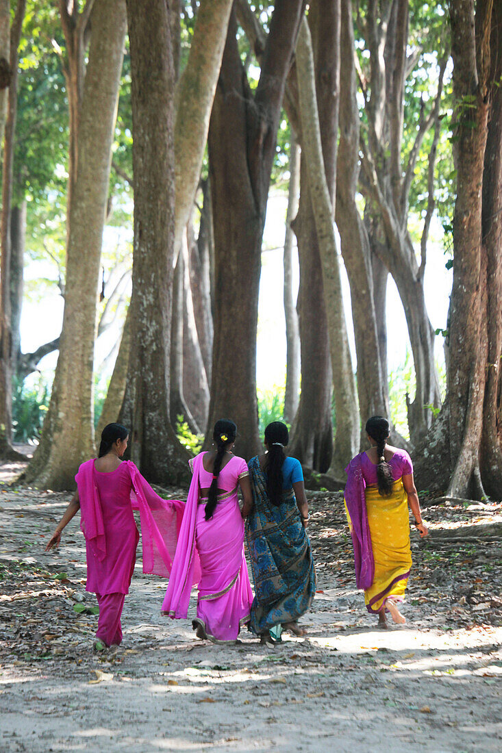 Indische Frauen in farbenprächtigen Saris spazieren durch den Küstenwald des Radha Nagar Beach, Strand 7, Havelock Island, Andamanen, Indien