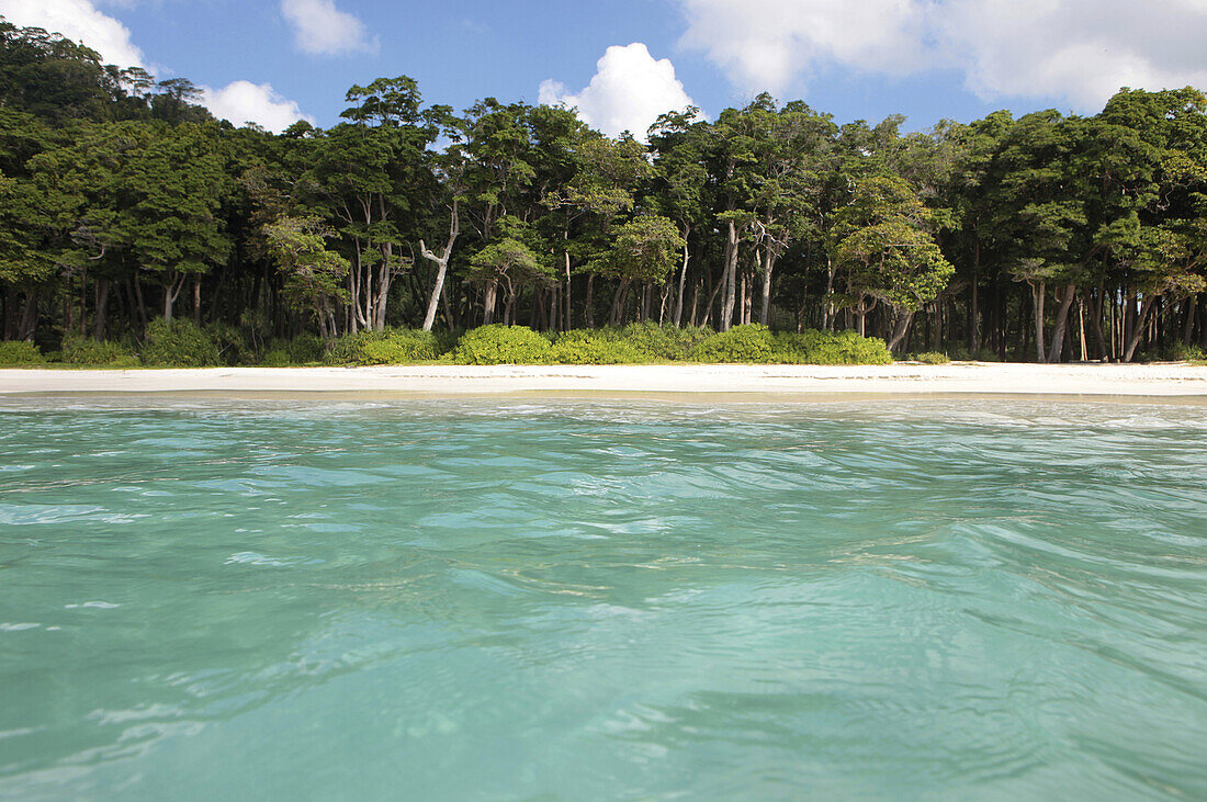 View from the sea to Radha Nagar Beach and its coastal rainforest, Beach 7, Havelock Island, Andamans, India