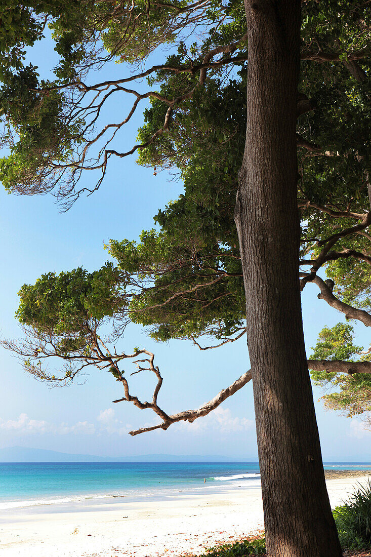 View from the coastal forest of the Radha Nagar Beach on to the Andaman Sea, Beach 7, Havelock Island, Andamans, India