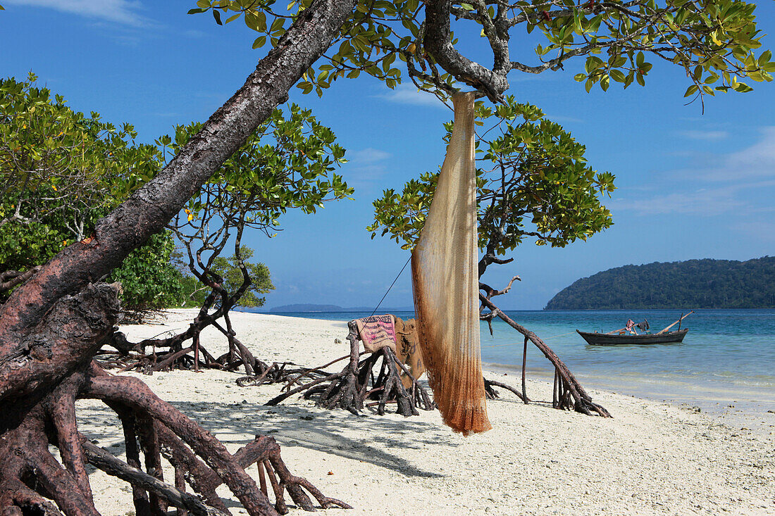 Mangroven mit Fischernetz am Strand, Havelock Island, Andamanen, Indien