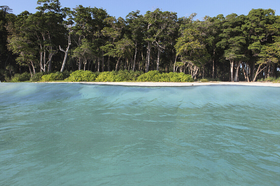 View from the sea to Radha Nagar Beach and its coastal rainforest, Beach 7, Havelock Island, Andamans, India