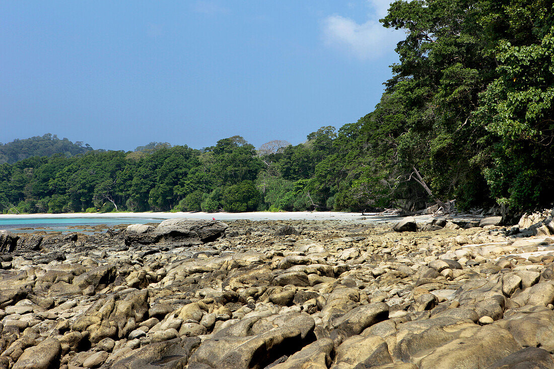 View over the 12 km long Radha Nagar Beach and its coastal rainforest, Beach 7, Havelock Island, Andamans, India