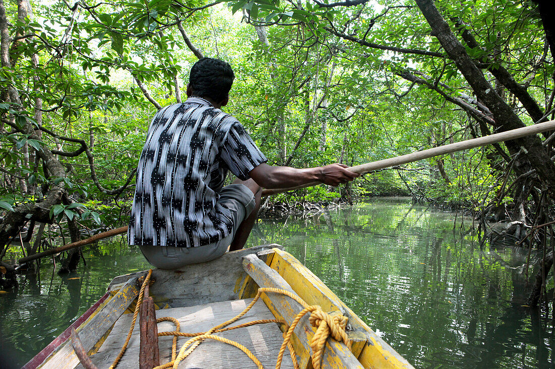 Local man on a boat driving through mangrove forest, Baratang, Middle Andaman, Andamans, India