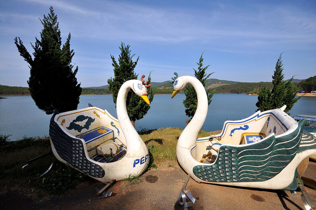 Two swan boats on the lake shore near Da Lat in the southern mountains, Vietnam
