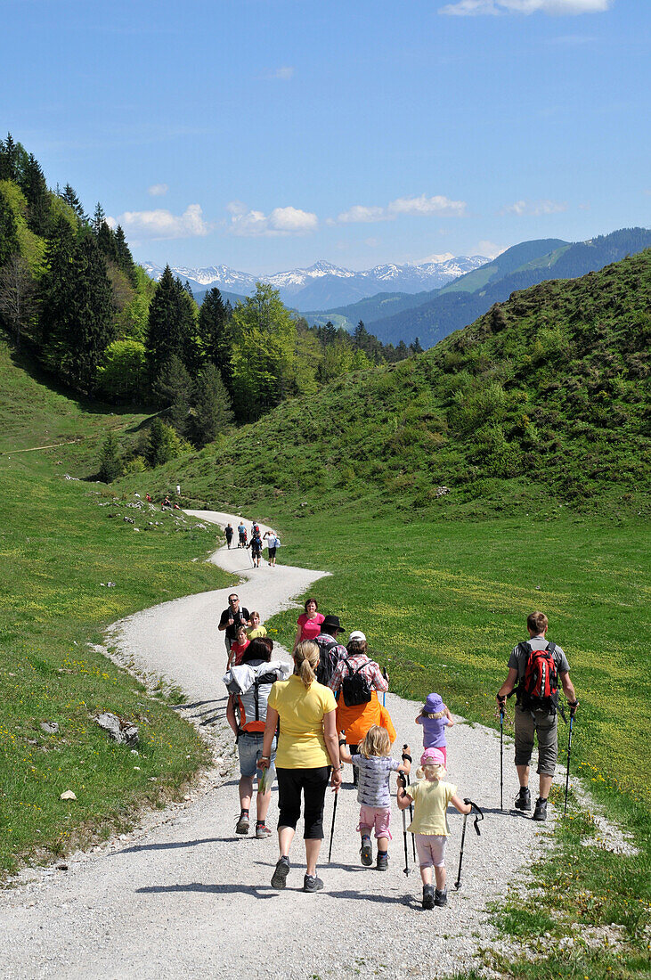Family with children hiking near Scheffau at Wilder Kaiser, Tyrol, Austria