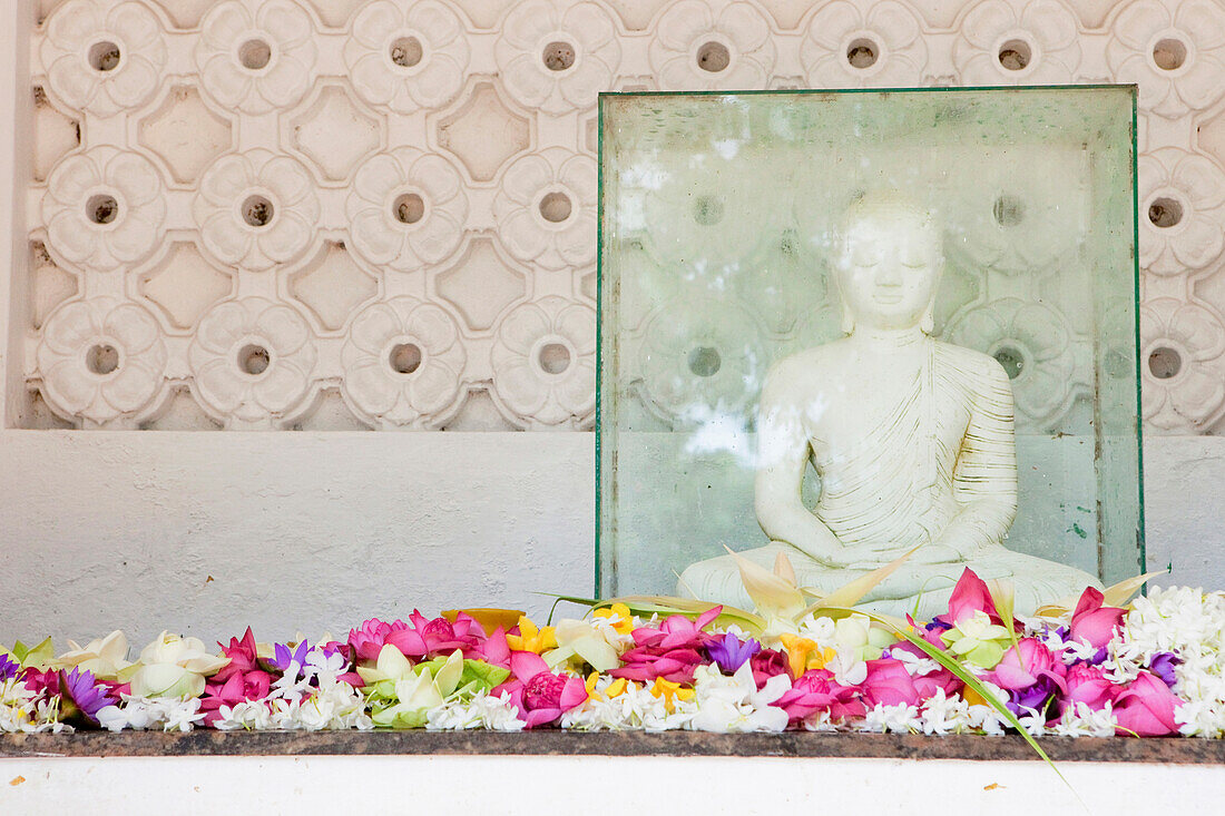 Flower offerings in front of a Buddha statue at the Kelaniya Raja Maha Vihara temple, Colombo, Sri Lanka, Asia