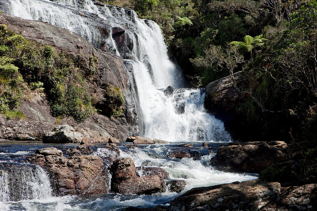 The Baker's Falls in the sunlight, Horton Plains National Park, Nuwara Eliya, Sri Lanka, Asia